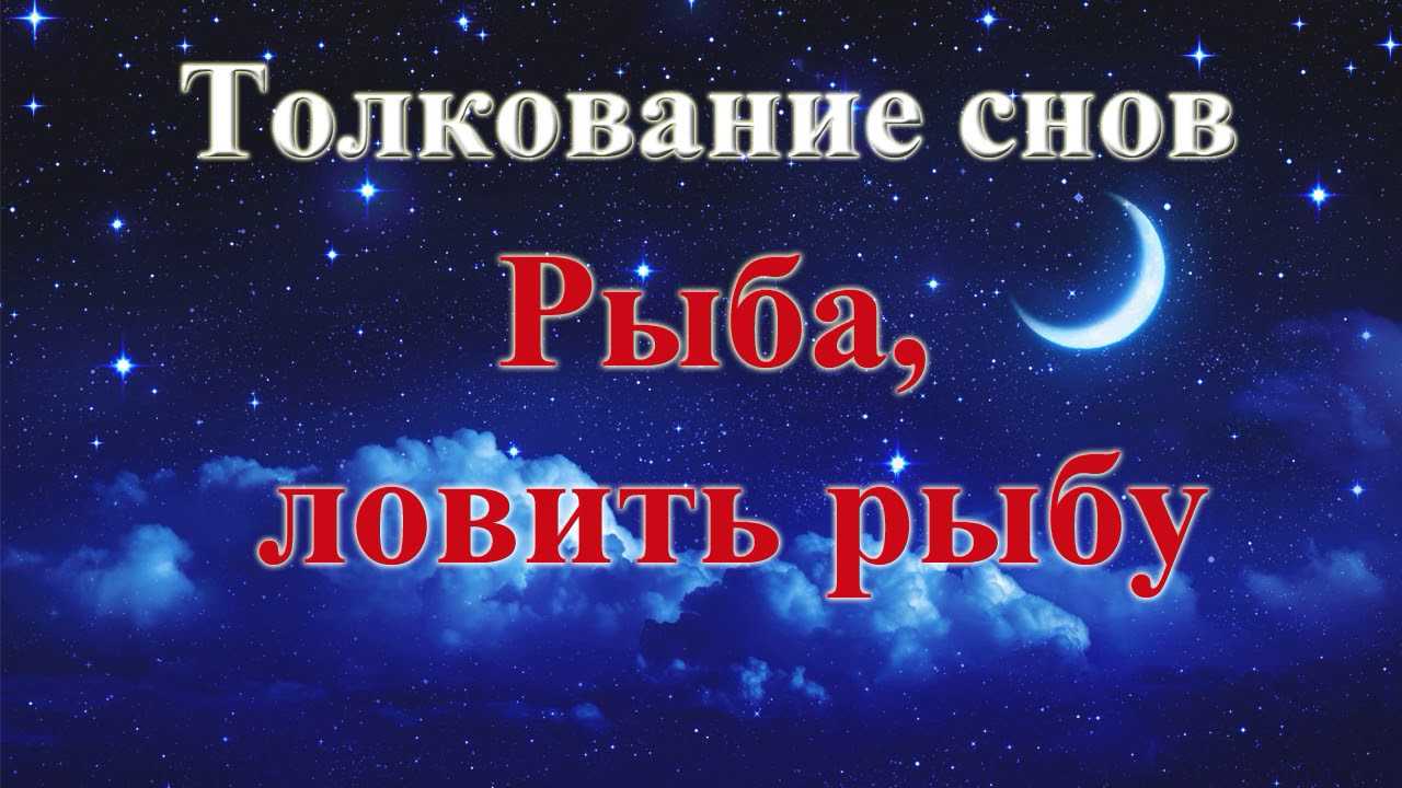 К чему снится ежевика по сонникам медеи, лонго, ванги
