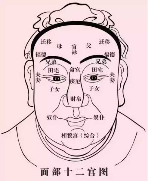 О чем расскажет ваше лицо? | классические методики китайской астрологии