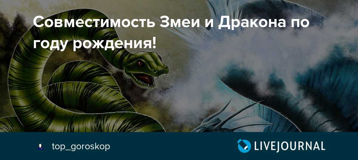 Дракон и дракон совместимость. Совместимость дракона и змеи. Год змея и дракон совместимость. Совместимость дракона и змеи в любви. Дракон со змеей совместимы.