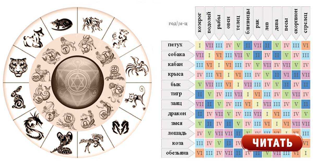 Знаки зодиака по годам таблица фото на русском