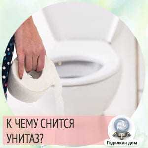 К чему снится унитаз: новый, странный, в необычном месте, мыть унитаз? основные толкования — к чему снится унитаз -