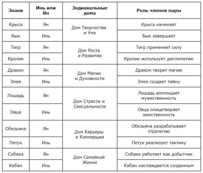 Крыса и собака: совместимость женщины и мужчины на все случаи жизни