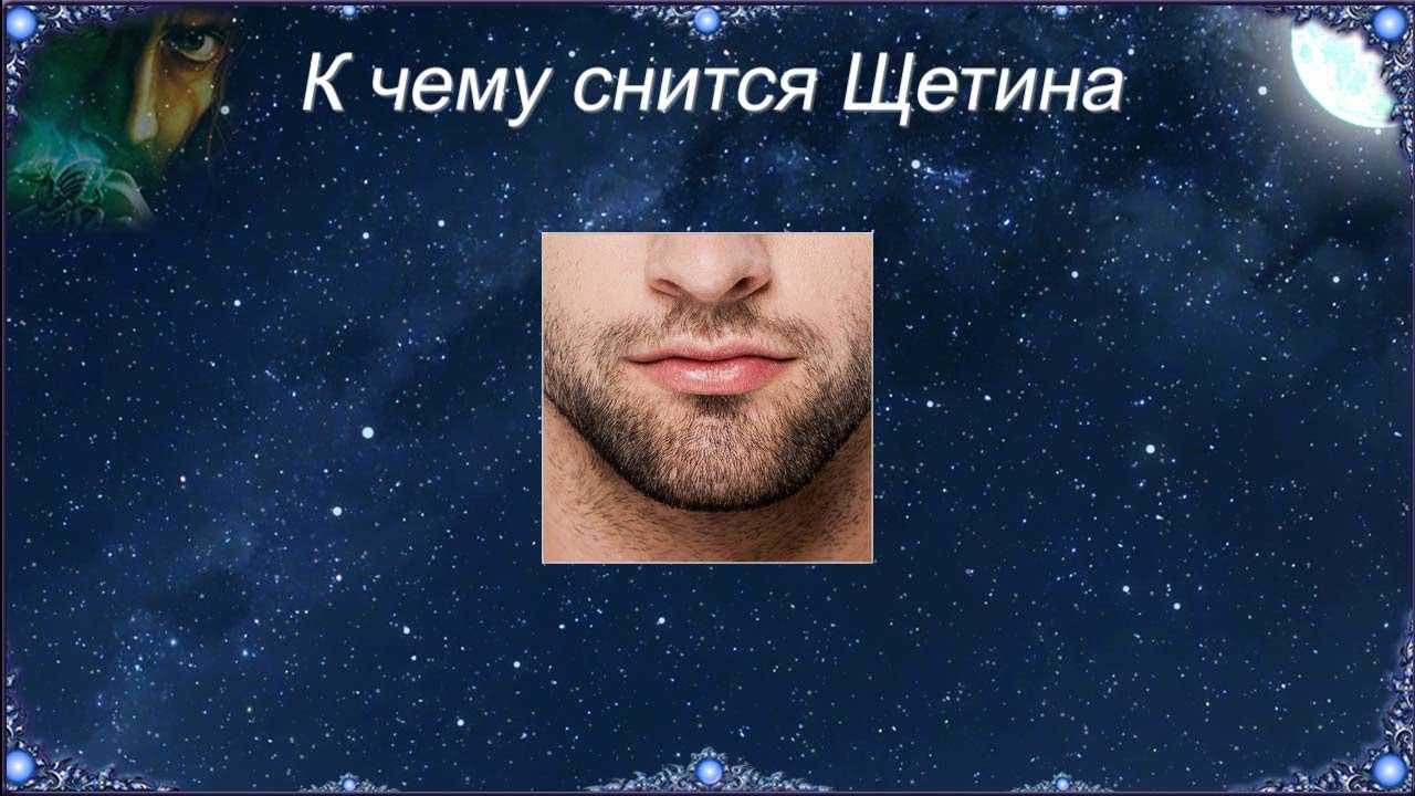 К чему снится борода 💤 — топ подробных интерпретаций ❗ по 50 популярным сонникам: что означает для мужчины или женщины стричь себе либо другому бородку