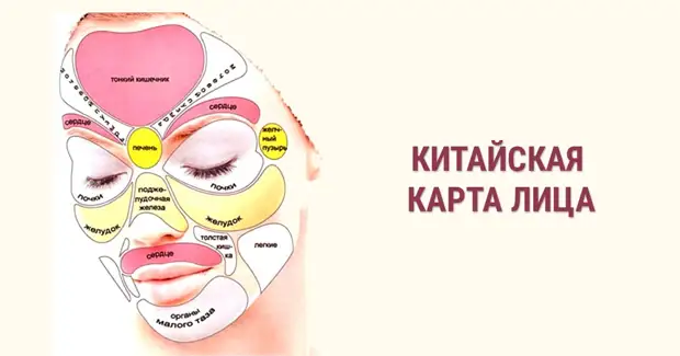 Как определить характер человека по зубам