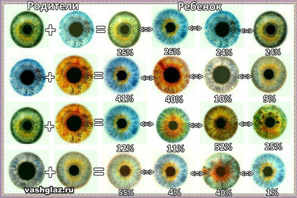 Генетика по глазам картинка