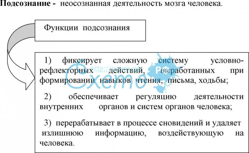 Сознание и подсознание человека | тайное знание
