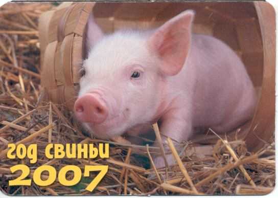 Совместимость людей знака свинья с китайскими знаками зодиака