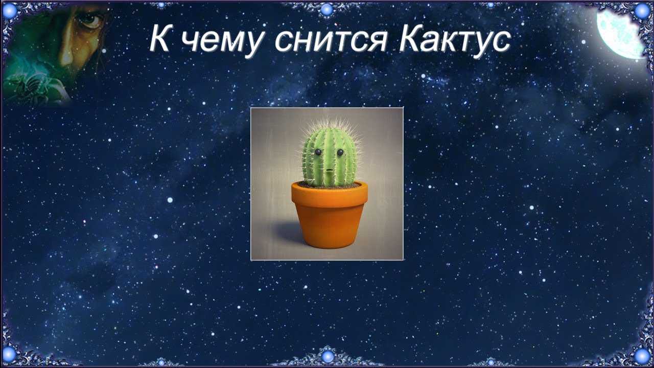 Кактусы — можно ли держать дома, приметы, связанные с состоянием растения
