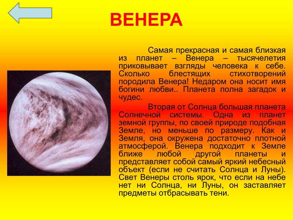 Какими свойствами наделяет владельца венера во льве — королевское движение к славе