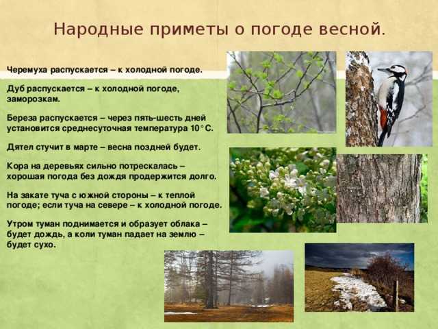 Народные приметы и погода с картинками