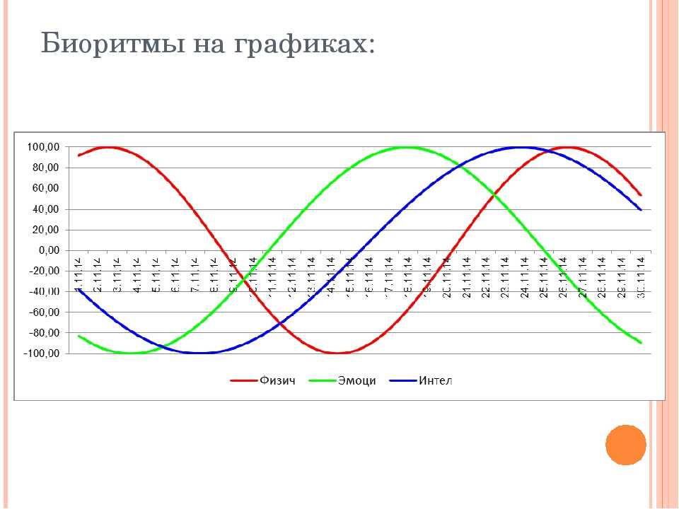 Биоритмы изучение циркадных ритмов и хронотипов проект