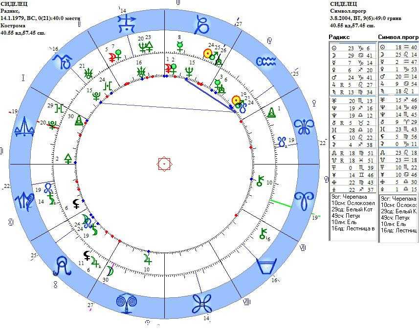 Нептун в натальной карте. Сигнификатор в натальной карте. 8 Дом в натальной карте. Соляр гороскоп. Солнце в 8 доме в натальной