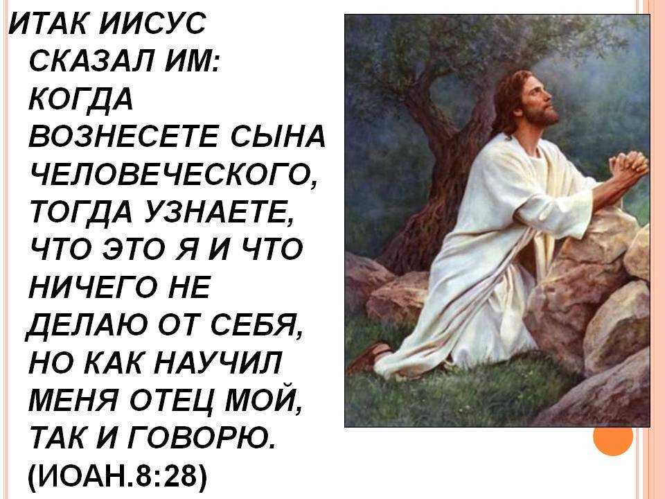 Жизнь отданная богу. Библия «Иисус». Иисус сын Бога Библия. Высказывания Иисуса. Иисус сказал.