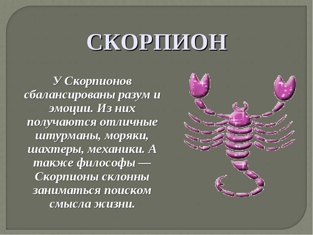 Мужчина скорпион - характеристика, гороскоп, описание мужчины-скорпиона