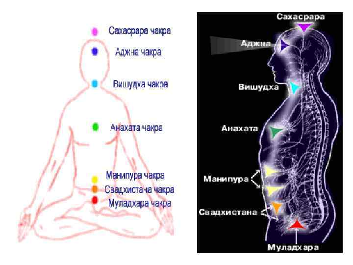 Сахасрара - интересно о свойствах седьмой чакры