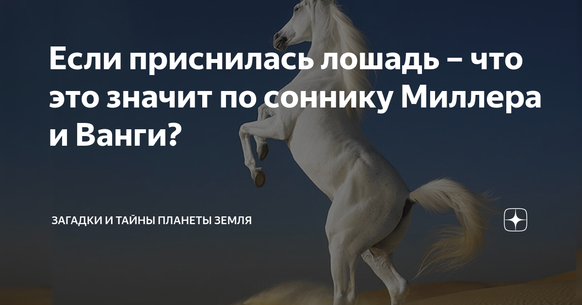Сонник: ехать на лошади верхом, белая лошадь. толкование снов - tolksnov.ru