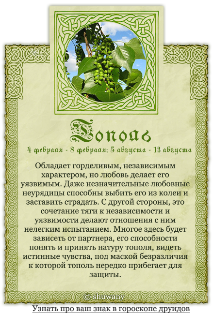 Деревья зодиаков. Гороскоп друидов. Календарь друидов. Дерево по гороскопу.