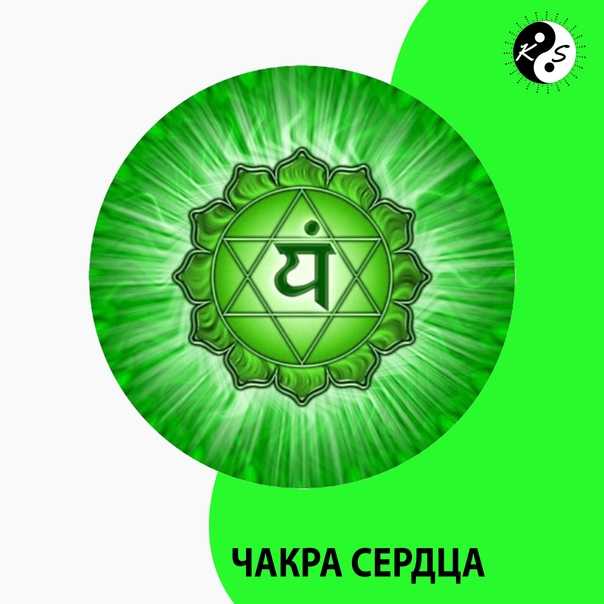 Кундалини 4 чакра – анахата