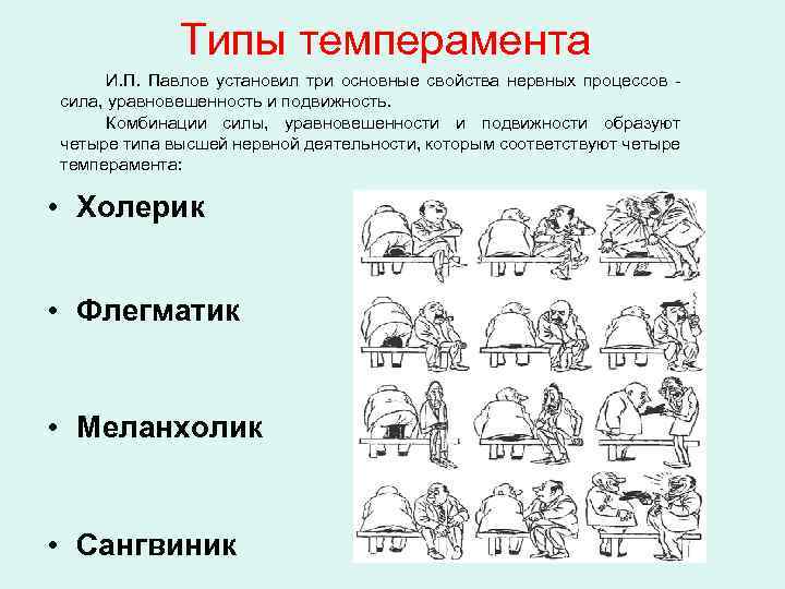 1 определите типы темперамента на картинке