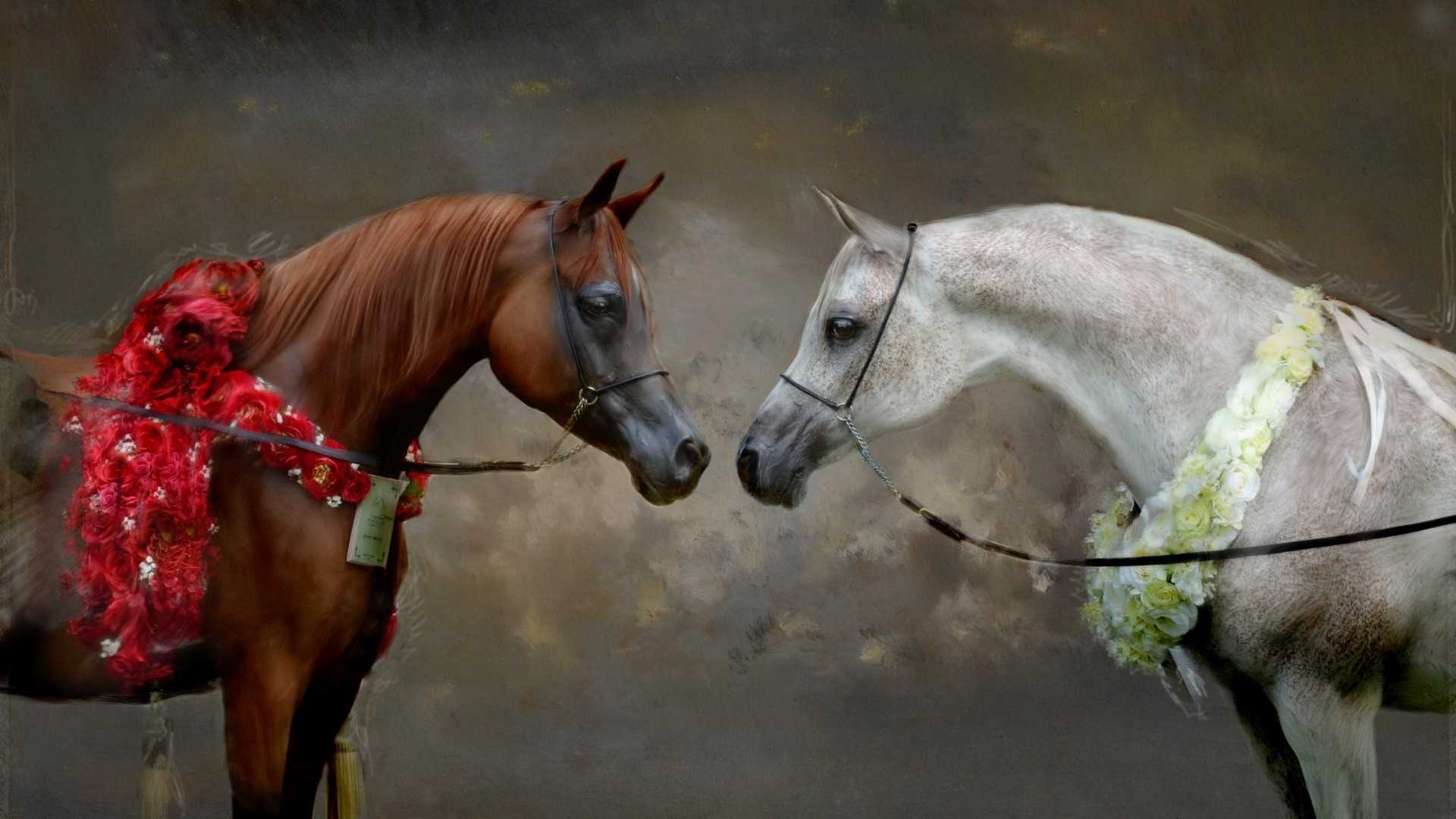 Сонник – конь, к чему снится лошадь