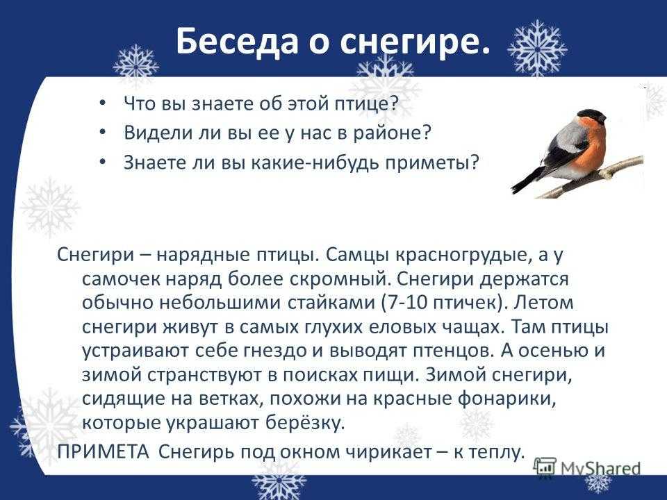 Интересные факты о снегирях для детей