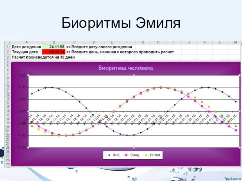 Биоритмы человека — женский журнал femmina.ru