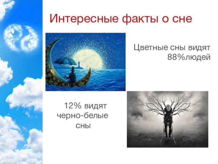 Почему человеку почти никогда не снятся сны – 5 главных причин