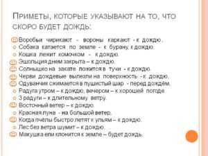Народные приметы о погоде по растениям: как предсказать на основе наблюдений