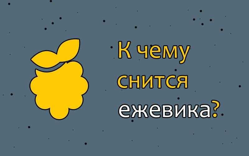 К чему снится ежевика: крупная, сладкая, есть, собирать, и малина