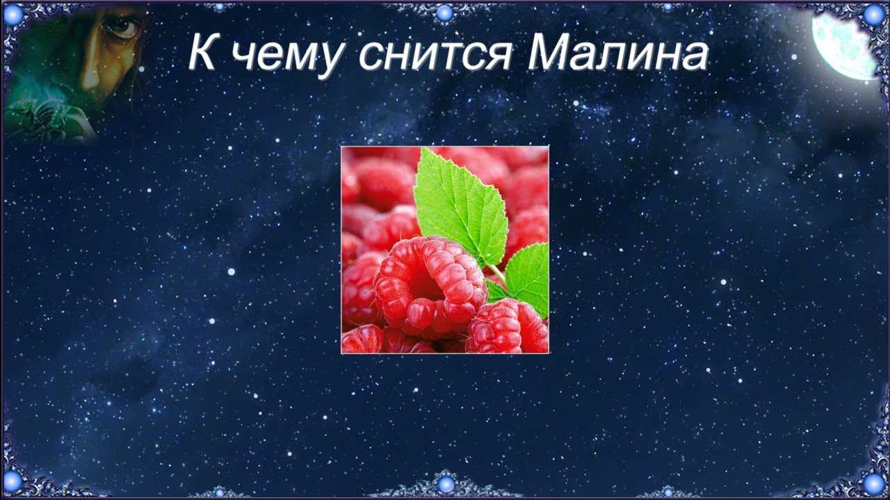 Сонник малина собранная