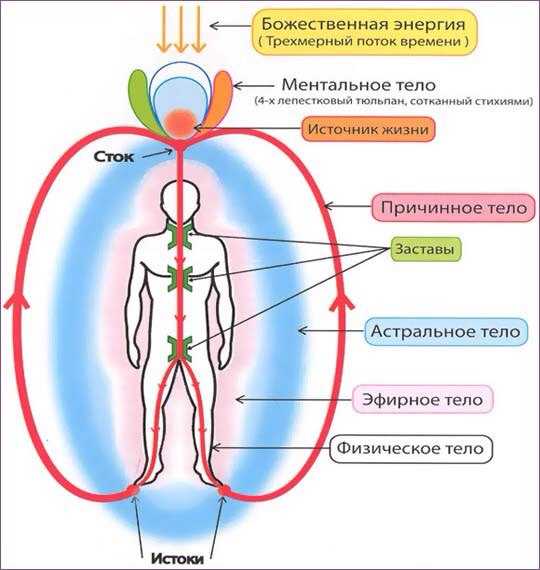 Ментальное тело. манас. интеллект. материальность мысли.