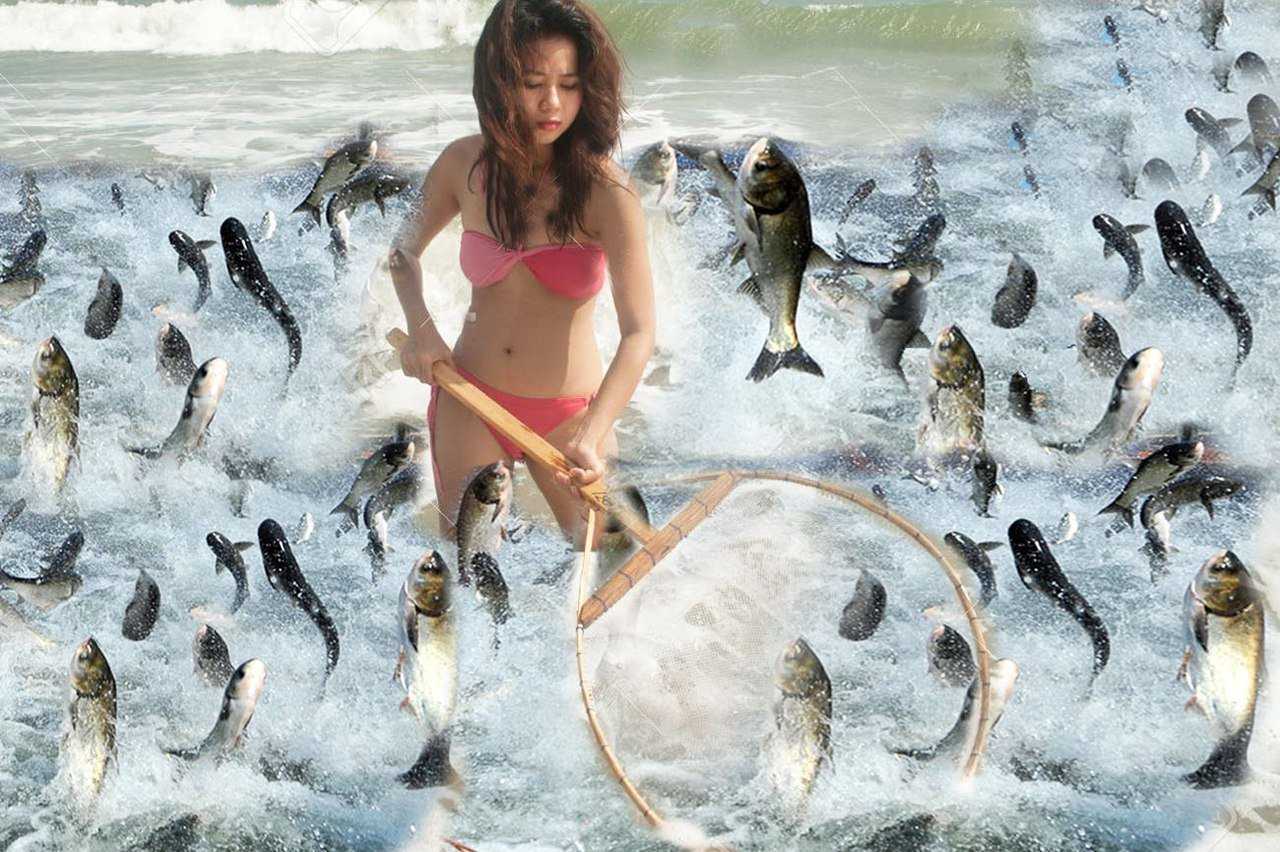 К чему снится рыба женщине - значения по соннику