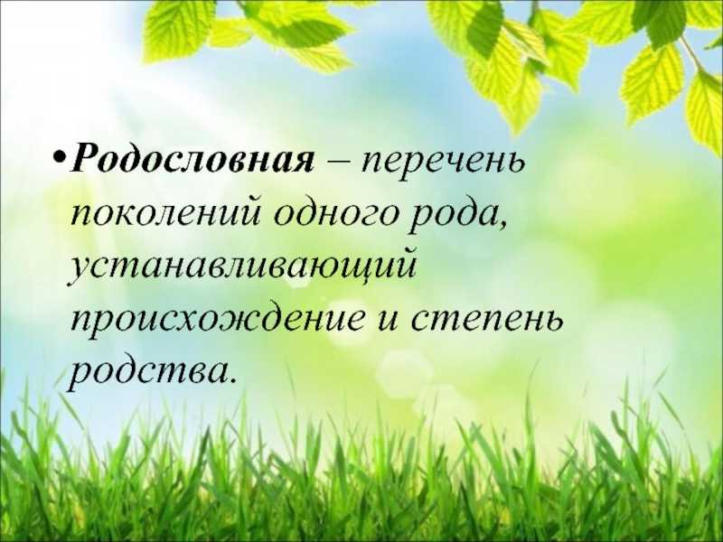 Имя корней: значение и происхождение, характер и судьба. что расскажет имя корней про своего обладателя