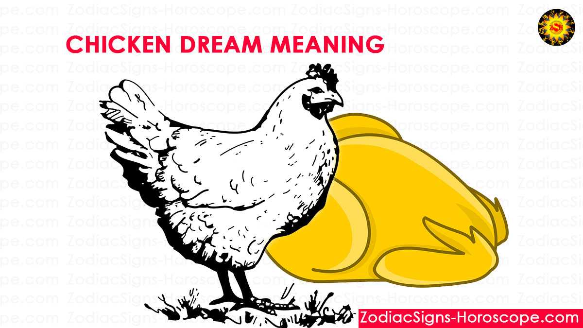 К чему снится курица 🐓 с цыплятами - толкования по 42 сонникам ✨: что означает видеть во сне много живых квочек с птенцами в гнезде для женщины и мужчины