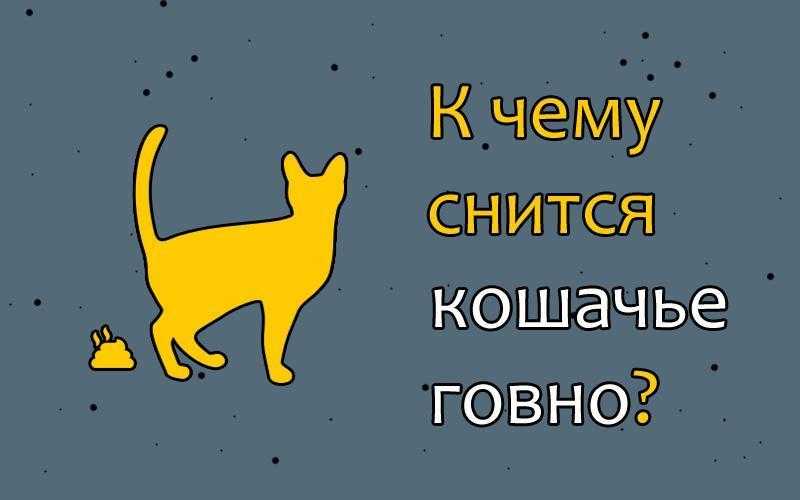 Как узнать к чему снится сухое кошачье говно Уборка кошачьего говна во сне что значит Наступить в кошачье говно значение сна К чему вообще снится говно Толкования по разным сонникам