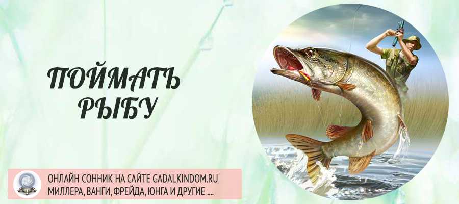 К чему снится рыба мужчине: толкования и пророчества