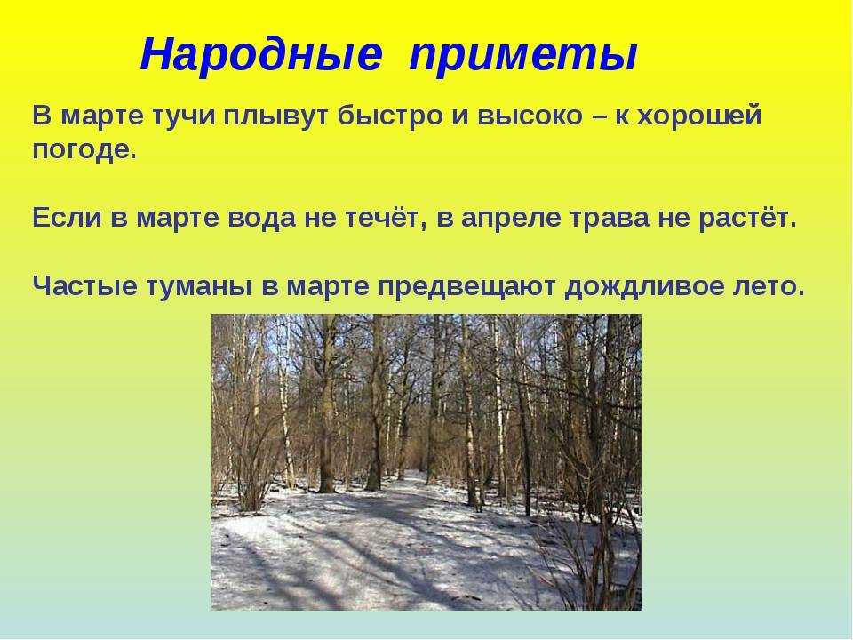 Приметы теплой погоды. Народные приметы. Народные приметы о погоде. Народныеприиеты о погоде. Народные преметыо погоде.