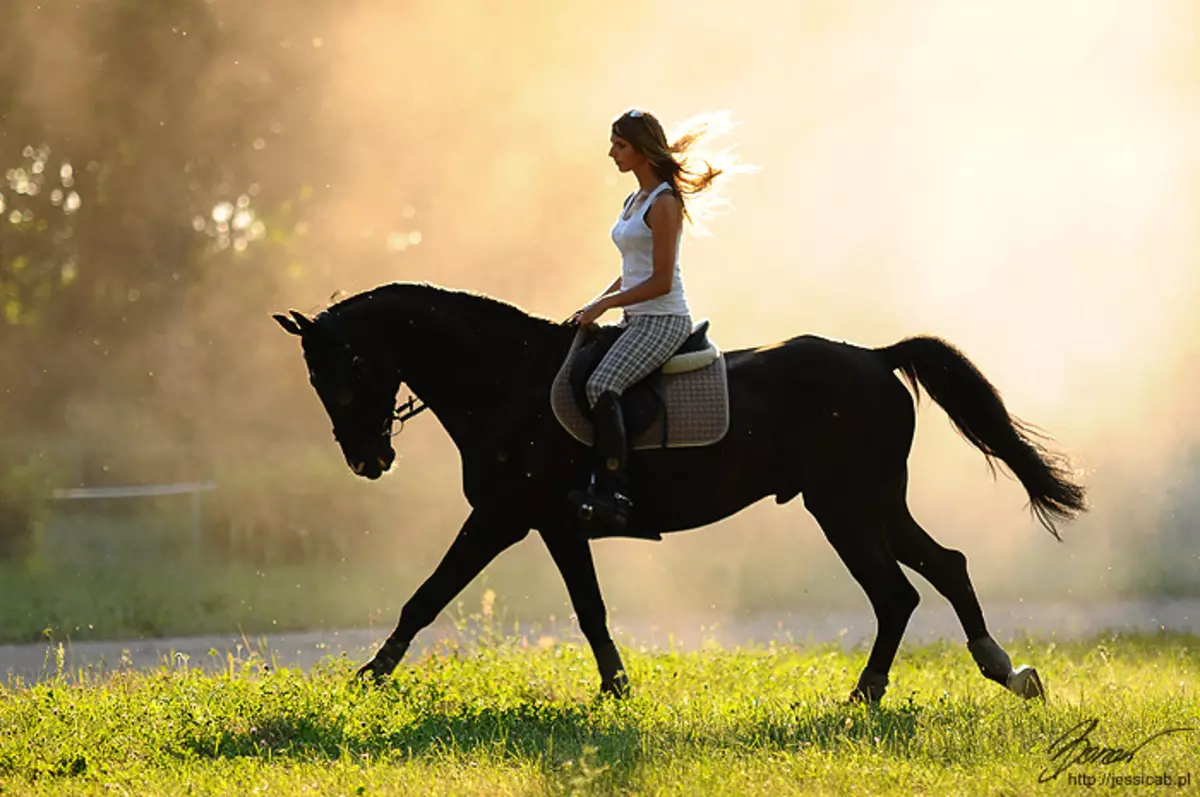 Верховая езда женщин. Фотосессия с лошадьми. Верхом на лошади. Девушка на коне. Езда верхом.