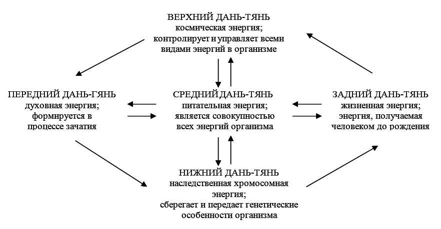 Ци развитие