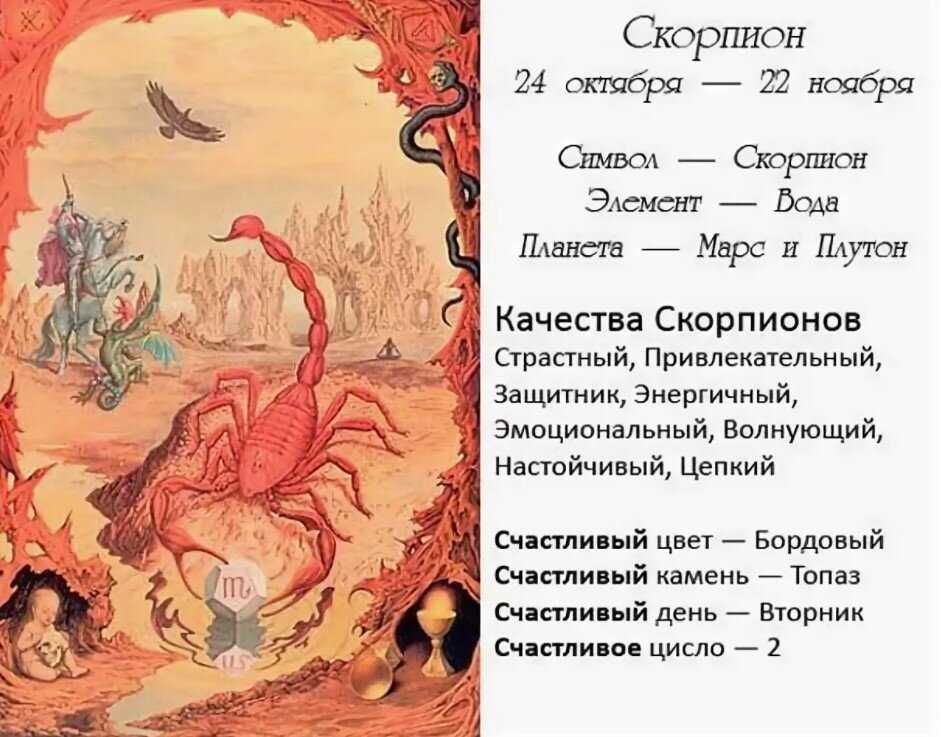 Типы темперамента и их характеристика