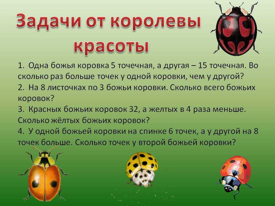Приметы про божью коровку: на замужество, к деньгам