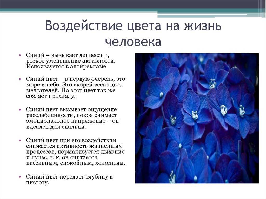 Назови свой любимый цвет и я скажу, кто ты – узнаем характер по цвету