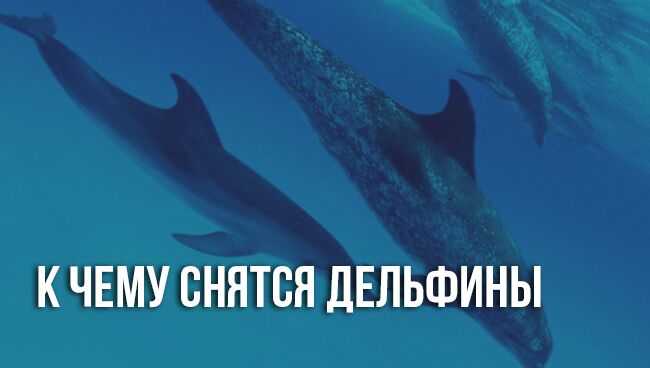 Толкования снов по соннику ванги