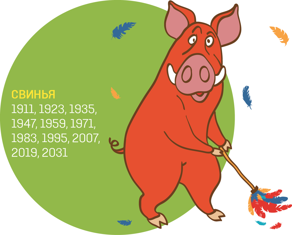 2007 год какого. Годы свиньи по восточному календарю. Свинья по восточному гороскопу. Кабан гороскоп. Шуточный Восточный гороскоп.