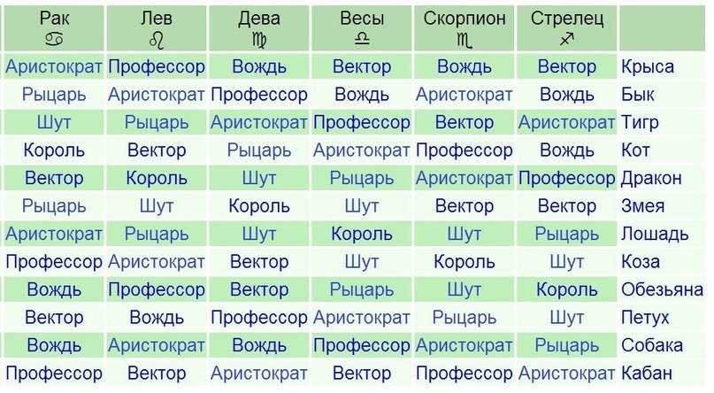 Собака и кролик кот