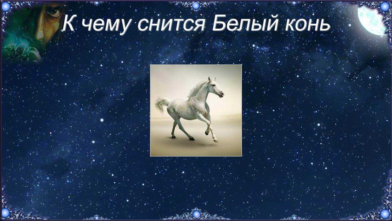 Сонник видеть лошадь. Приснился конь. Во сне снится конь. К чему снится лошадь. К чему снится конь лошадь.