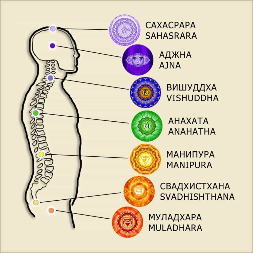 Сахасрара чакра (коронная) — седьмая чакра человека.