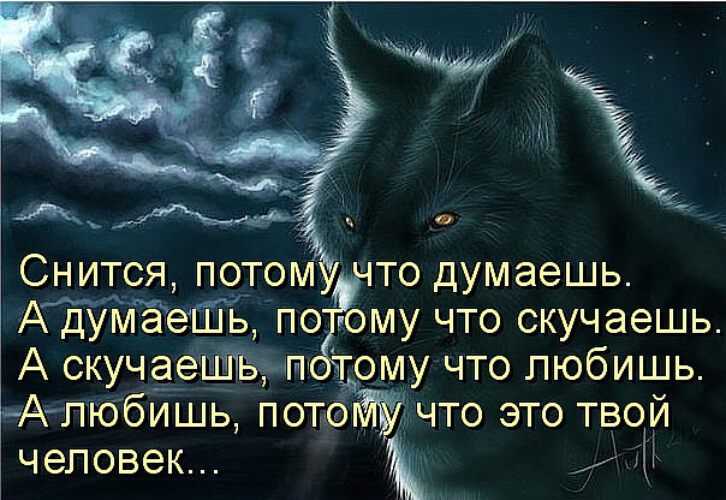 Волки нападают во сне: трактовка сновидения