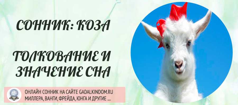 Год знака коза в восточном календаре и его характеристика