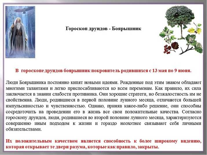Друидский гороскоп